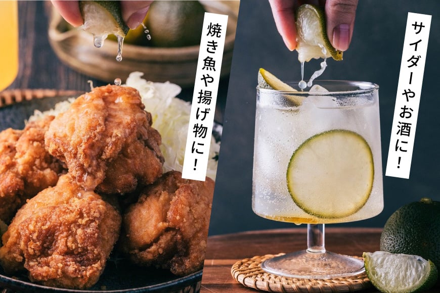宮崎県日向市の【ふるさと納税】 へべす 果汁 シロップ HEBESU 100％へべす果汁(150ml×2本)へべすシロップ(120ml×1本)計3本セット [ひむか農園 宮崎県 日向市 452060727] 酢 ポン酢 調味料 飲料 国産 香酸柑橘 ヘベス 宮崎 ビタミンC アミノ酸｜アングル3