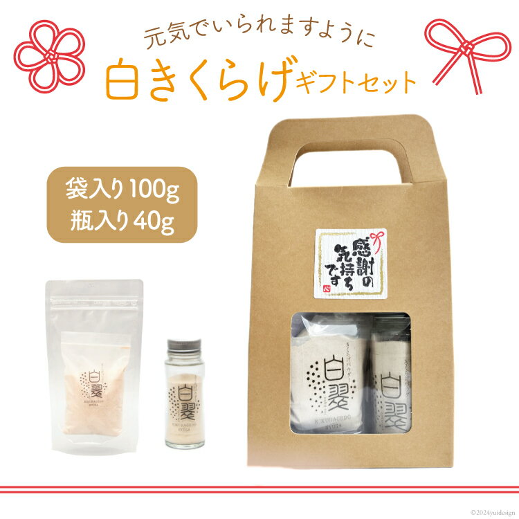 【ふるさと納税】 レビューキャンペーン きくらげ 白いきくらげ ギフト セット 粉末 100g 瓶入り 粉末 40g [かいファーム 宮崎県 日向市 45206...
