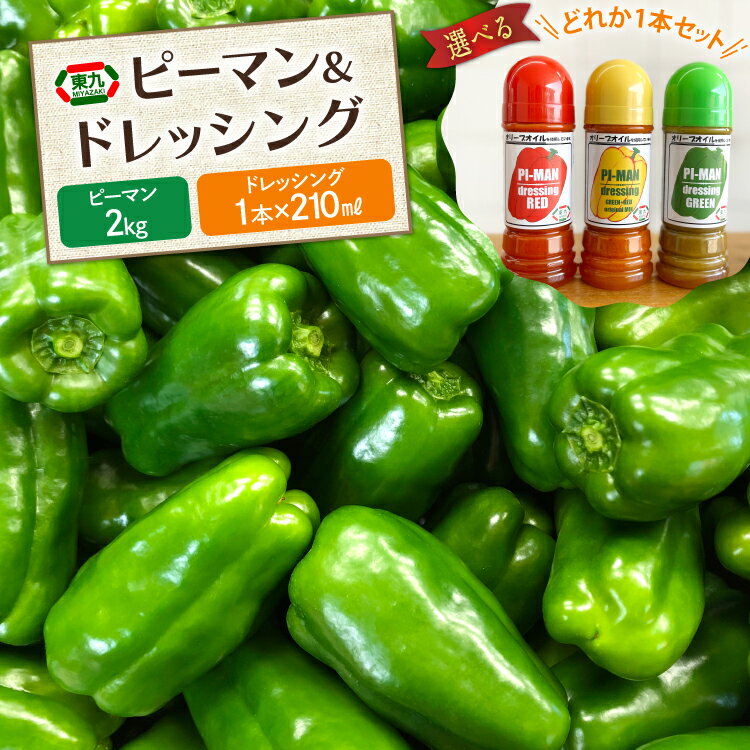 【ふるさと納税】 レビューキャンペーン 【期間限定発送】 ピーマン 宮崎県産ピーマン 2kg ドレッシング 210ml 赤・黄・緑から 1本 [東九農園 宮崎県...