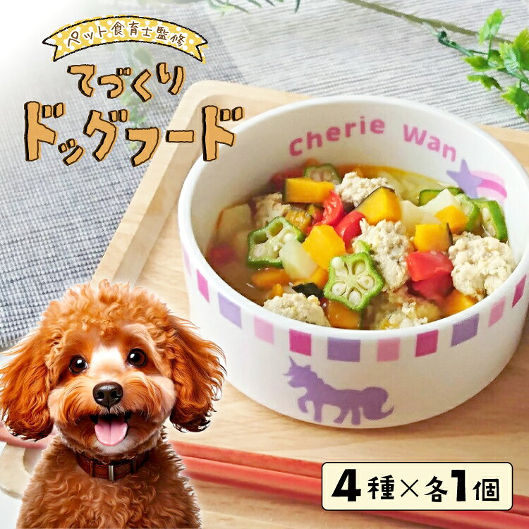 ドッグフード 【ペット食育士監修】 日向市産の野菜をたっぷり使った 手作り ドッグフード (4種×各1個) [ウィズ・クリエイティブ 宮崎県 日向市 452060821] ペット ペットフード