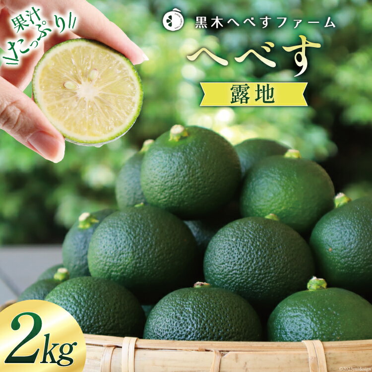 【ふるさと納税】 【期間限定発送】 黒木へべすファーム自慢の《露地》 へべす 2kg [黒木へべすファーム 宮崎県 日向市 452060742] 柑橘 国産 ヘベス 平兵衛酢 ビタミンC アミノ酸
