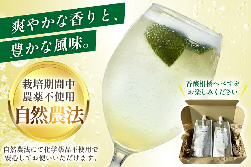 【ふるさと納税】 へべす 100% 果汁 150ml 2p セット [かわの農園 宮崎県 日向市 452061706] ヘベス 国産 調味料 果物 フルーツ くだもの 柑橘 ふるさと納税 詰め合わせ 詰合せ へべす果汁 ヘベス果汁 100パーセント ストレート 宮崎 平兵衛酢 常温 f452068-hyuga-10001081 宮崎県日向市 サンプル画像3