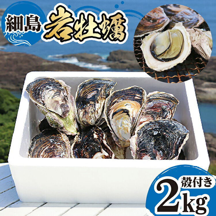 [期間限定発送]牡蠣 岩牡蠣 殻付き 細島 岩ガキ 約 2kg [日向サンパーク 宮崎県 日向市 452061757] かき カキ 岩牡蠣 岩がき 貝 海鮮 魚介 魚介類 冷蔵 新鮮 ふるさと納税 濃厚 クリーミー BBQ 焼き牡蠣 蒸し牡蠣 ほそしま 日豊海岸