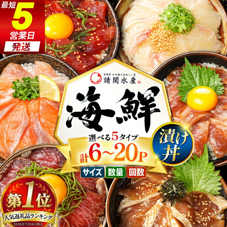 総合1位獲得! 海鮮丼 漬丼 選べる 中サイズ 5種 6P 8P 大サイズ 6種 単発 定期便 [請関水産 宮崎県 日向市 452061505] 海鮮 海鮮丼の具 海鮮漬け丼 食べ比べ 丼 冷凍 漬け丼 簡単 個包装 海鮮丼セット ブリ マダイ カンパチ マグロ サーモン カツオ