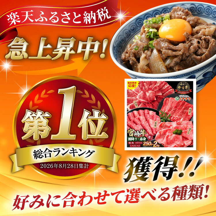 【ふるさと納税】総合1位獲得！【畜産農家応援】 牛肉 宮崎牛 選べる 用途 部位 内容量 250g〜2kg [ミヤチク 宮崎県 日向市 452061226] 焼肉 すき焼き しゃぶしゃぶ モモ バラ 肩ロース 赤身 セット 冷凍 小分け 250g 500g 1kg 2kg 和牛 ふるさと納税 牛 10営業日以内発送 f452068-hyuga-10000541 宮崎県日向市 サンプル画像2
