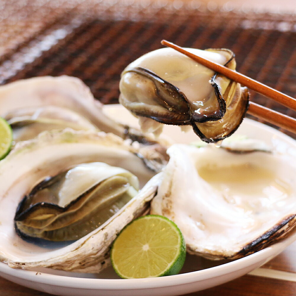 【ふるさと納税】岩牡蠣 殻付き 細島 岩ガキ 約4kg 日向特産 へべす 500g セット [道の駅日向 宮崎県 日向市 452060362] いわがき 岩がき 牡蠣 日豊海岸 濃厚 クリーミー