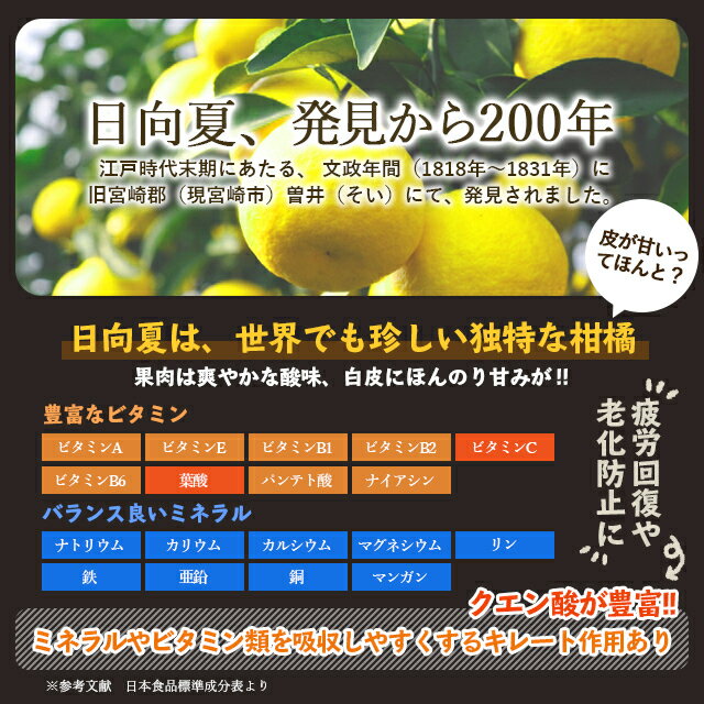 【ふるさと納税】ミツイシおすすめ！大人気の日向夏ドレッシング(180ml×3)　チーズぎっしりチーズ饅頭10個セット[10-125]