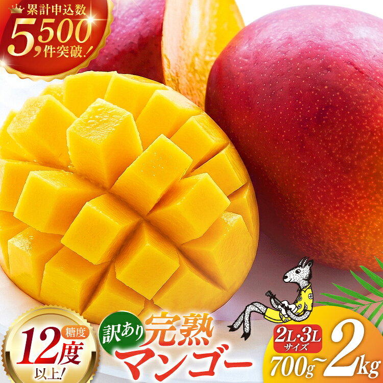 マンゴー フルーツ 完熟マンゴー 選べる 700g ～ 2kg 【2026年夏発送】［宮崎県農業協同組合日向地区本部（販売課） 宮崎県 日向市 452060456］ マンゴー まんごー MANGO フルーツ 果物 くだもの 完熟マンゴー 完熟 訳あり 日向市産 国産 甘い ふるさと納税