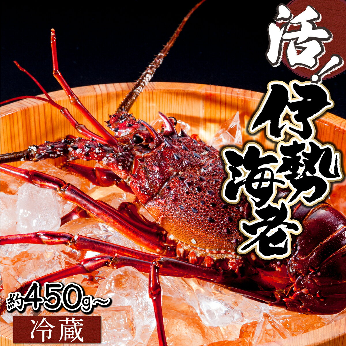 ڤդ뤵Ǽǡۡͽ̸ۡܺ긩ֻ(450g800g) ֻΰӤ褭ޤޤ˻ľ ...