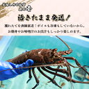 宮崎県串間市の画像2