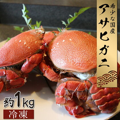 【数量・期間限定】宮崎県串間産アサヒガニ(計約1kg・4～6匹)日本では大変希少な国産アサヒガニ ！【豊漁丸】【KU017】