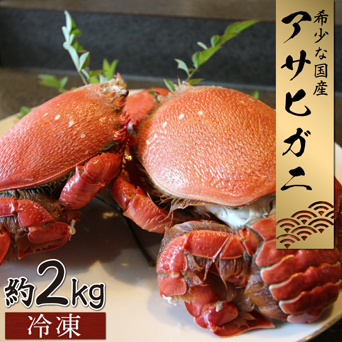 宮崎県串間産アサヒガニ(計約2kg)日本では大変希少な国産アサヒガニ ！