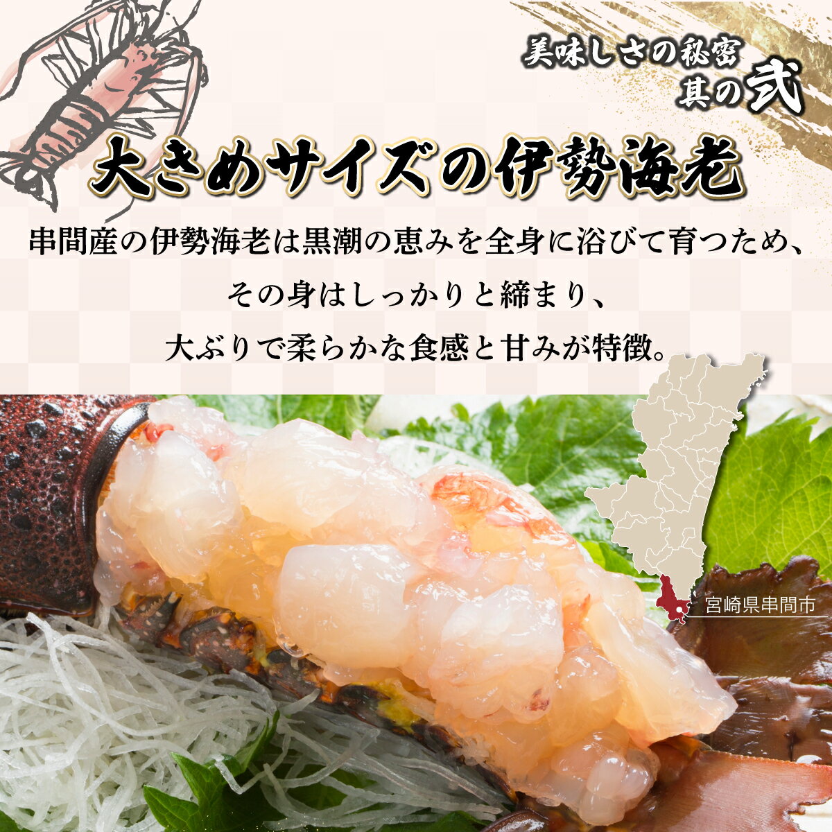 【ふるさと納税】【先行予約】＜数量限定＞宮崎県串間産伊勢エビ(計約2kg・3〜8匹) 串間産の伊勢エビを活きたままご自宅に産地直送！ 伊勢海老 海の幸【豊漁丸】【KU069】