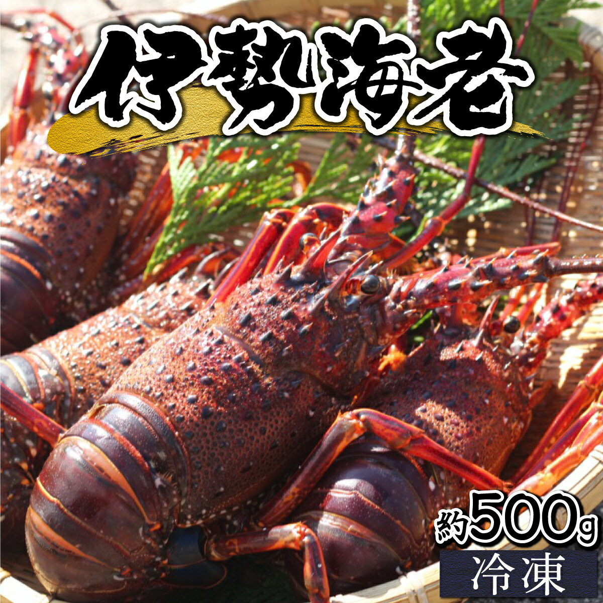 【ふるさと納税】＜生冷凍・数量限定＞宮崎県串間産 天然伊勢エビ(計約500g・1～3匹) 串間産の伊勢エビを鮮度そのままにお届け！ 生のまま冷凍しているのでお刺身・焼物・味噌汁でも頂けます！【豊漁丸】【KU345】