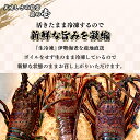 宮崎県串間市の画像2