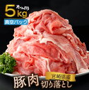 豚肉(セット・詰め合わせ)人気ランク28位　口コミ数「125件」評価「4.7」「【ふるさと納税】【真空パック・発送時期が選べる】宮崎県産 豚肉切り落とし 250g×20パック 合計5kg 国産豚 冷凍 真空パック 小分け 生姜焼き カレー シチュー 豚丼【KU481】」