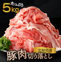 【ふるさと納税】【真空パック・発送時期が選べる】宮崎県産 豚肉切り落とし 250g×20パック 合計5kg 国産豚 冷凍 真空パック 小分け 生姜焼き カレー シチュー 豚丼【KU481】