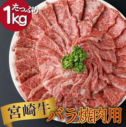 【発送時期が選べる】宮崎県産 宮崎牛バラ焼肉用 250g×4パック 合計1kg 国産牛 冷凍 和牛 焼き肉 バラ肉 小分け 真空パック【KU480】