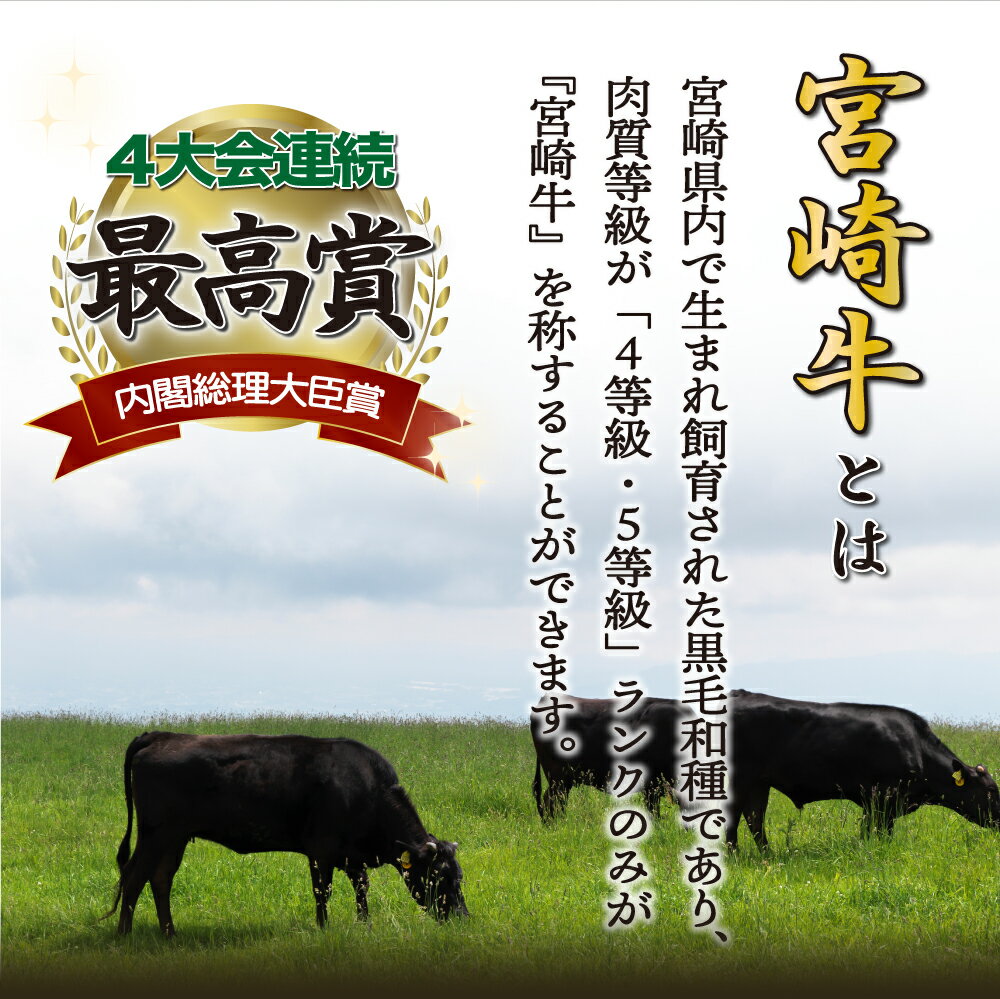【ふるさと納税】【発送時期が選べる】宮崎牛モモブロック 1kg （500g×2）真空パック【SKMMB】部位にこだわりました！全国和牛能力共進会　宮崎牛日本一4連覇達成の宮崎牛！！