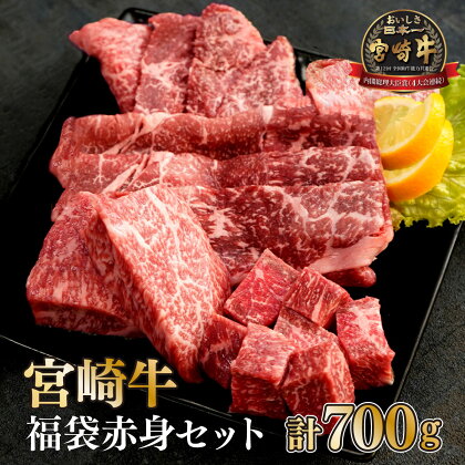 ＜宮崎牛＞福袋赤身セット（モモステーキ・モモ焼肉・モモスライス・赤身サイコロ・合計700g)美味しい牛肉をご家庭で【KU039】