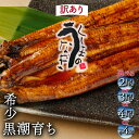 【ふるさと納税】【訳あり・数量限定】選べる!くしまの黒潮うなぎ蒲焼き【大田商店】【KU468】