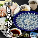 13位! 口コミ数「0件」評価「0」＜毎月数量限定＞年末年始や宴会に！とらふく刺身・ちり鍋セット(4人前) 国産最高級とらふく料理をご自宅で【大田商店】【AB-EF1】