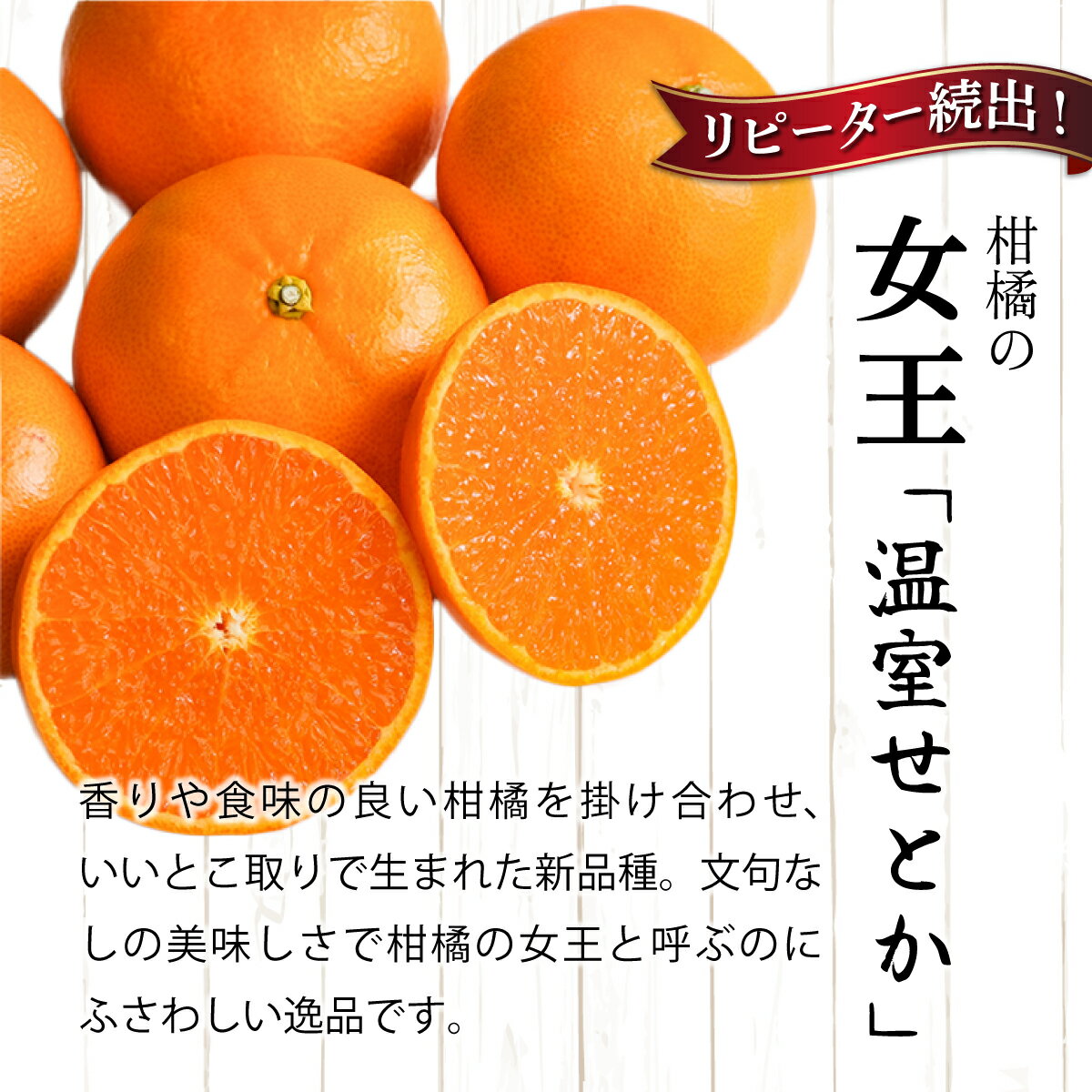 【ふるさと納税】≪期間限定・先行予約≫ 2026年1月中旬より発送開始【数量限定】訳あり 農林水産大臣賞受賞農園！ふるやさんちの温室せとか（約5kg・20〜24玉※サイズ混合）宮崎県産 果物 フルーツ みかん 柑橘 ギフト お取り寄せ 特産品【ふるやさんちのみかん園】AD-AB1