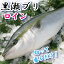 【ふるさと納税】【数量限定】活じめ!黒瀬ぶりの生鮮ブリロイン2節(1.0kg前後)刺身やぶり丼、カルパッチョやサラダなどのお料理に!ブリしゃぶやぶりたたきもおすすめ!【KU281】 18,000円