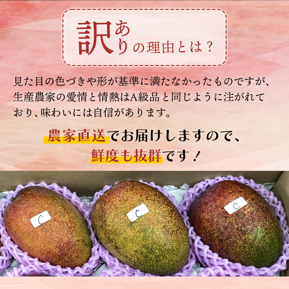 【ふるさと納税】＜先行予約＞【数量限定】糖度は最低でも13度以上、平均15度以上！ご家庭用 宮崎完熟マンゴー1.5〜1.7kg（2Lサイズ2玉入の約2倍）訳ありC級品ですが糖度も十分です！スタッフ一押し！令和8年5月上旬から発送！【やました農園】【KU472】
