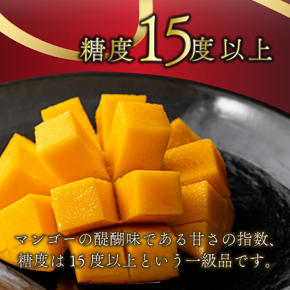 【ふるさと納税】＜先行予約＞【数量限定】【内容量が選べる】糖度15度以上の宮崎完熟マンゴー(5L×1玉入・贈答用) ＜ギフト用＞ 【A級品 化粧箱入り】令和8年5月頃から発送！【やました農園】【AE-C2】