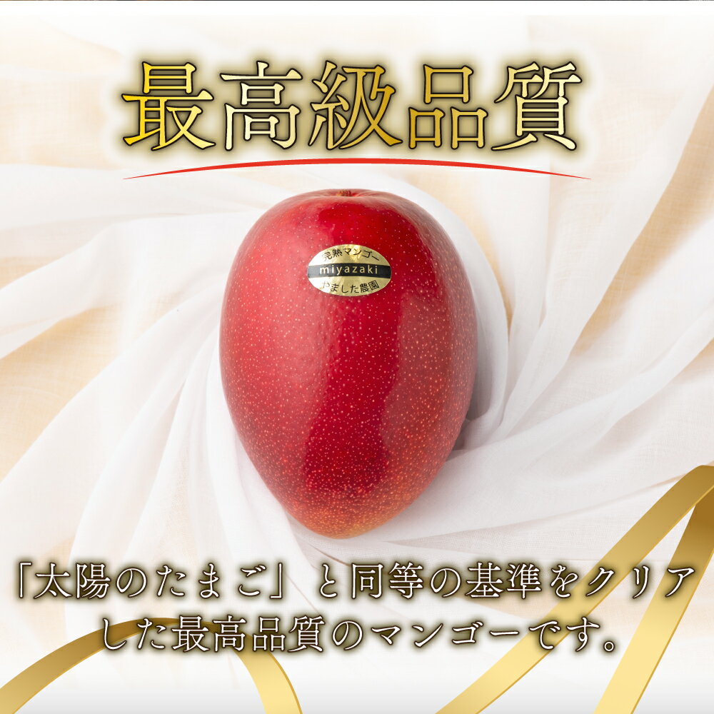 【ふるさと納税】＜先行予約＞【選べる内容量】★特大サイズ★累計11,000玉申込突破!!【数量限定】糖度15度以上の宮崎完熟マンゴー(4L×2玉入・贈答用 ギフト用 宮崎マンゴー)令和8年5月頃から発送！【やました農園】【AE-CD2】