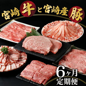 【ふるさと納税】【定期便・全6回】宮崎牛と宮崎産豚肉 6ヶ月定期便！計3.7kg （宮崎牛ロース ステーキ、宮崎産豚ロース しゃぶ、宮崎牛肩ローススライス、宮崎牛ウデ スライス、宮崎産豚バラ 焼肉、宮崎牛モモ焼肉用400g×1）【KU305】