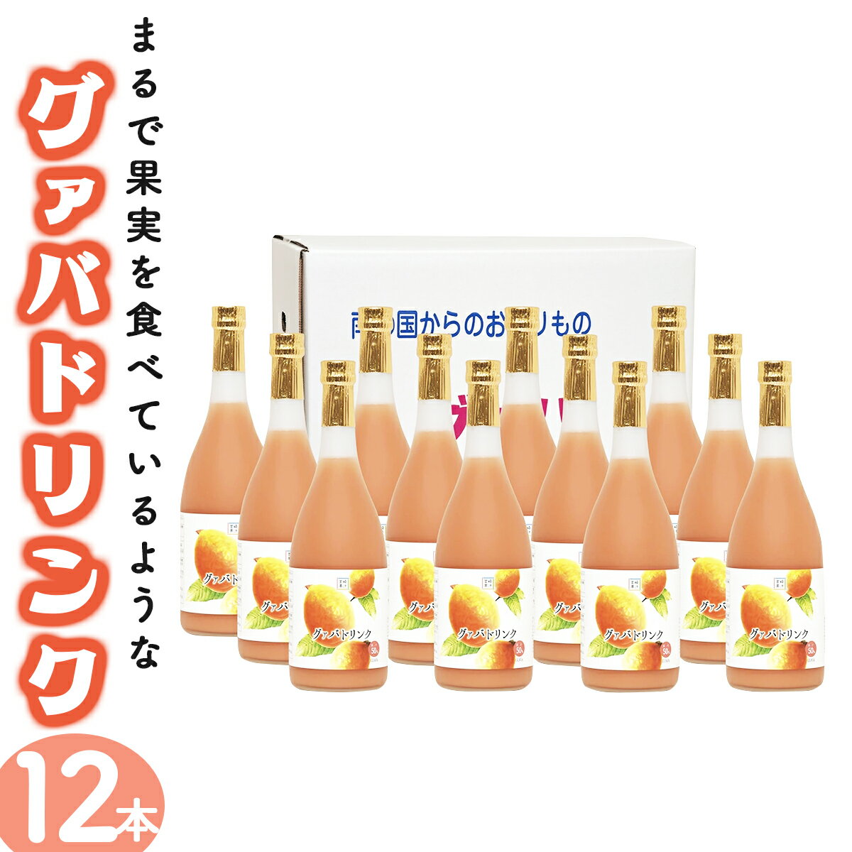 まるで果実を食べているような!グァバドリンク12本セット各720ml)おすそ分け箱・袋付[宮崎果汁][KU113] 送料無料 宮崎県 串間市 フルーツジュース 果物ジュース 贈り物 ギフト おやつ 飲料 ジュース