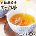 14位! 口コミ数「1件」評価「5」宮崎県串間市産 グァバ茶 (230g×1袋) 自社農園産100% 【宮崎果汁】【KU114】 送料無料 宮崎県 串間市 お茶 ホット アイス･･･ 