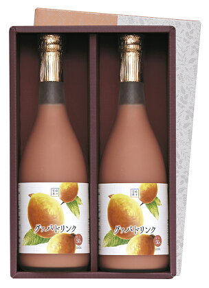 【定期便・全3回】まるで果実を食べているような！グァバドリンク2本セット(各720ml)×3回【宮崎果汁】【KU110】