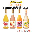 【ふるさと納税】【定期便・全4回】驚きの果実感!トロピカルフルーツドリンク(12本・4種各720ml×3本、マンゴー、グァバ・パッションフルーツ・日向夏)×4回...