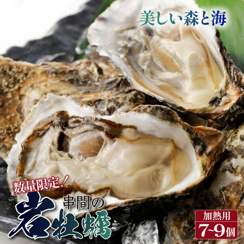 [期間限定・数量限定]串間市産!殻付岩牡蠣(加熱用・7〜9個)濃厚でクリーミーな味わいを 海の幸[串間市漁業協同組合][L-C3]