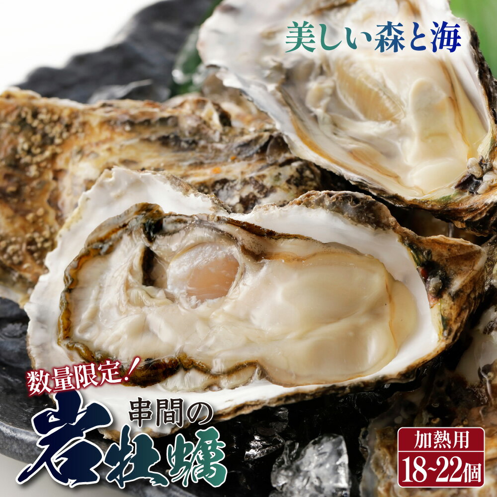 【ふるさと納税】＜数量限定＞串間市産！殻付岩牡蠣(加熱用・18〜22個)濃厚でクリーミーな味わいを 海の幸【串間市漁業協同組合】【L-D2】