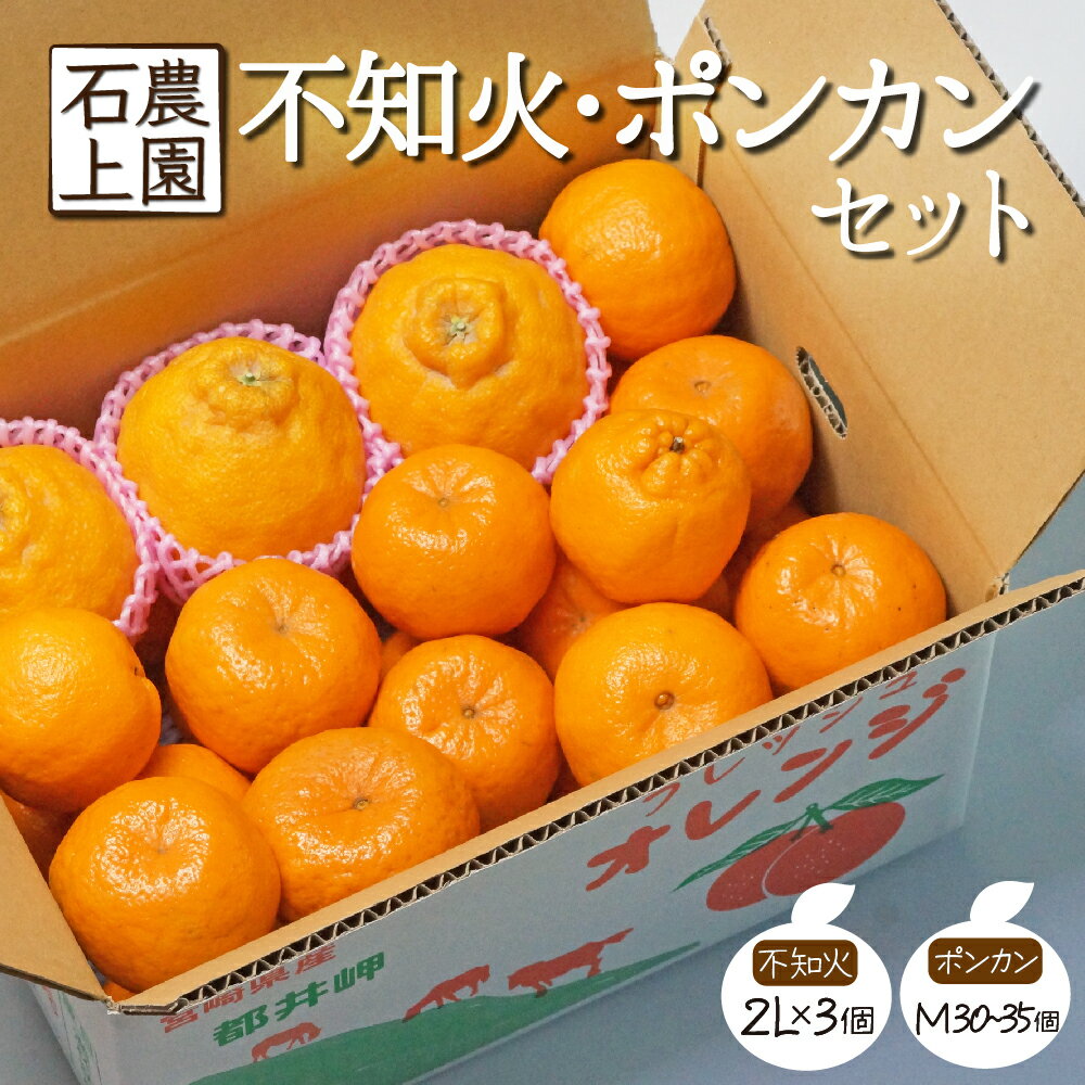 【ふるさと納税】＜先行予約受付中！2024年12月末から順次発送＞串間市都井「石上農園」の不知火・ポンカンセット（不知火2Lサイズ×3個、ポンカンMサイズ・30玉～35玉）みかん 柑橘 ぽんかん セット フルーツ 果物【石上農園】【AF-A2】のサムネイル