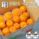 【ふるさと納税】<先行予約受付中!2025年12月末から順次発送>串間市都井「石上農園」の不知火・ポンカンセット(不知火2Lサイズ×3個、ポンカンMサイズ・30玉〜35玉)みかん 柑橘 ぽんかん セット フルーツ 果物【石上農園】【AF-A2】