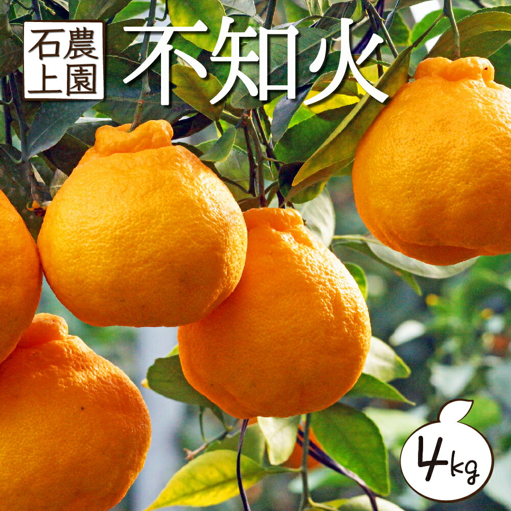 【ふるさと納税】＜先行予約受付中！2025年2月中旬から順次発送＞串間市都井「石上農園」の訳あり 「蔵出し」不知火 4kg (12～15玉) ミカン 蜜柑 フルーツ 果物【石上農園】【AF-A3】のサムネイル