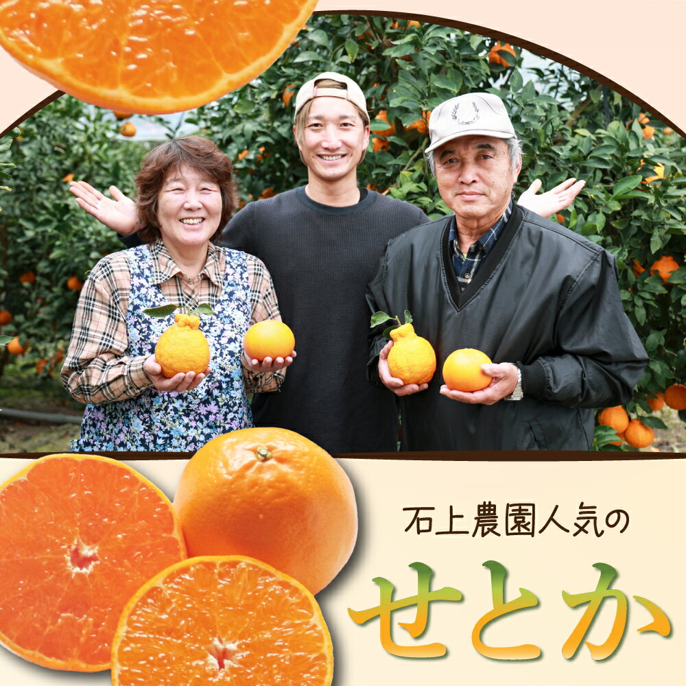 【ふるさと納税】＜先行予約受付中 ！2026年2月中旬から順次発送＞数量限定！串間市都井「石上農園」高級 柑橘 せとか 3kg（10〜12玉） 蜜柑 ミカン フルーツ 果物 ギフト 贈り物【石上農園】