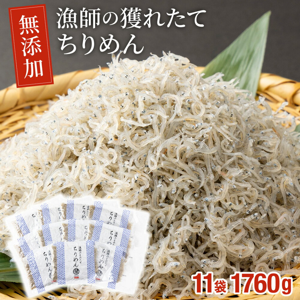 【ふるさと納税】漁師の獲れたてちりめん 計1.76kg(160g×11袋)鮮度と美味しさに自信！ 海の幸【株式会..