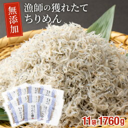 【ふるさと納税】漁師の獲れたてちりめん 計1.76kg(160g×11袋)鮮度と美味しさに自信！ 海の幸【株式会社猪塚水産】【KU096】