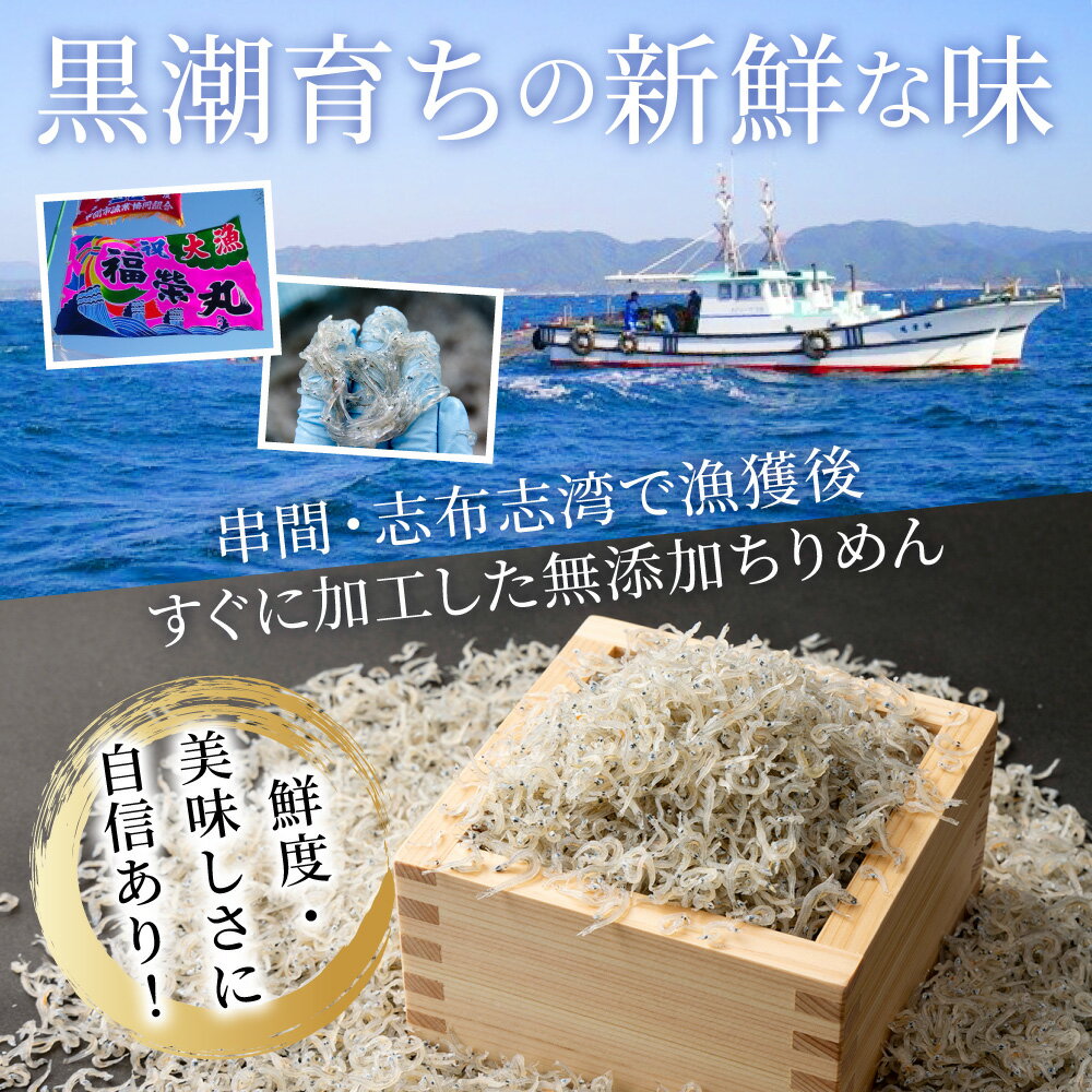 【ふるさと納税】漁師の獲れたてちりめん 計800g(160g×5袋)鮮度と美味しさに自信！ 海の幸【株式会社猪塚水産】【KU094】