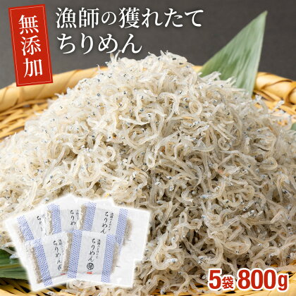 漁師の獲れたてちりめん 計800g(160g×5袋)鮮度と美味しさに自信！ 海の幸【株式会社猪塚水産】【KU094】