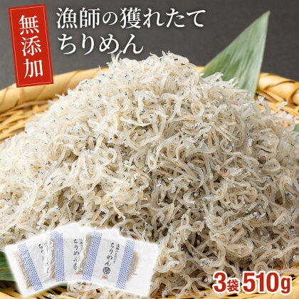 漁師の獲れたてちりめん 計510g(170g×3袋)鮮度と美味しさに自信！ 海の幸【株式会社猪塚水産】【KU093】