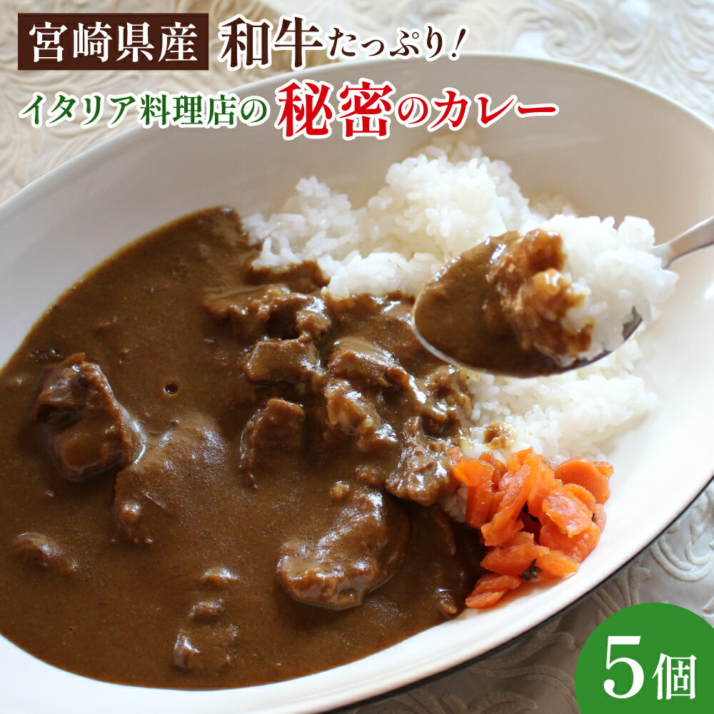 南国の宮崎でひっしで働いてきたイタリア料理店の秘密のカレー 900g（180g×5パック）温めるだけの簡単レトルトカレー！瞬間冷凍だからイタリアンシェフの味をそのままおうちで味わえる！ お手軽品【タヴェルナアルポルト】【KU398】