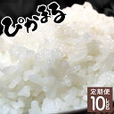 【ふるさと納税】<数量限定>【定期便・全2回】令和7年産「超早場米」 ぴかまる 計10kg(5kg×2回) 毎月 お届け! 契約栽培米・注目の低アミロース米! 秋 旬 定期 新米【中島米穀店】【KU156】