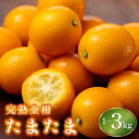 【ふるさと納税】<先行予約・数量限定> 選べる容量!完熟金柑たまたま1kg~3kg 宮崎ブランドの完熟きんかん! 皮ごとまるかじりできる!【KU431】